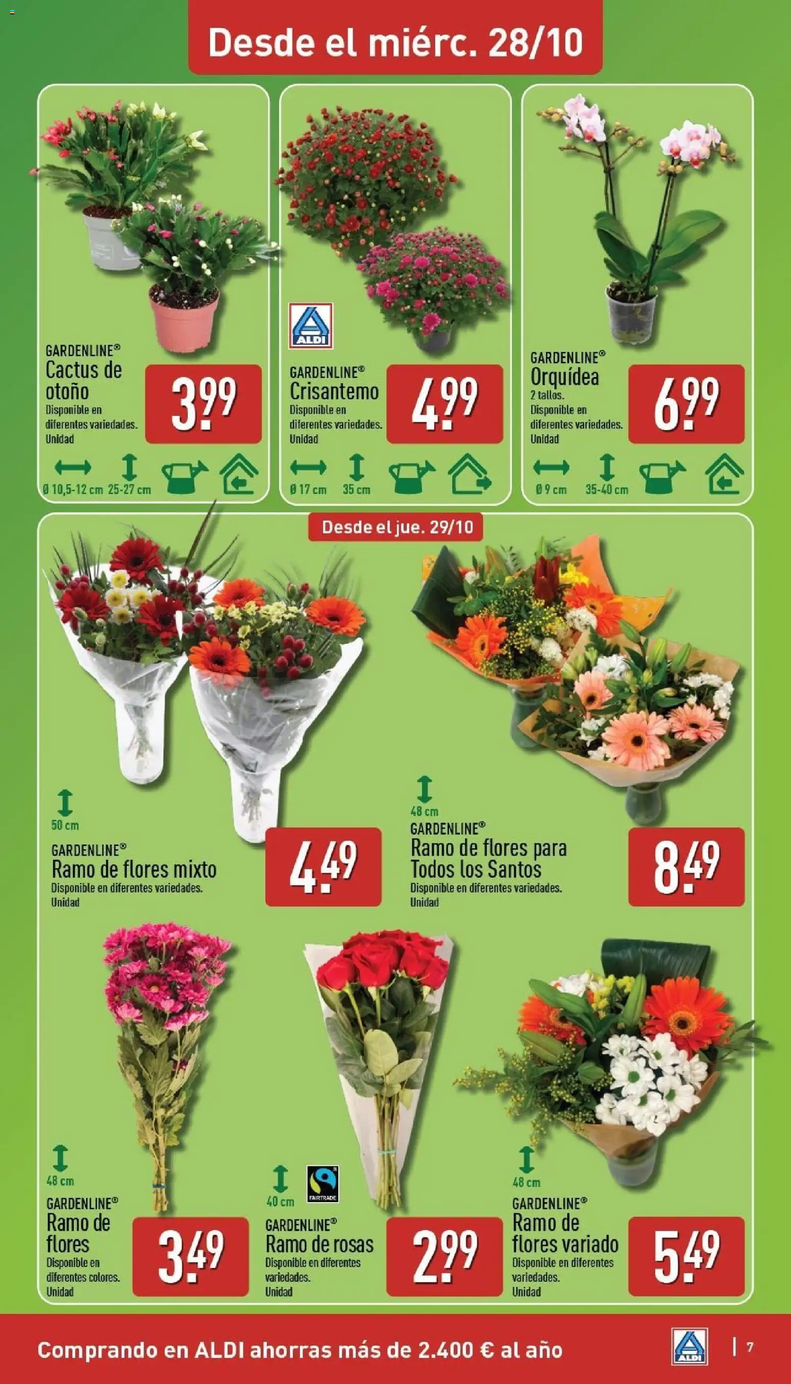 Aldi folleto Península │ válido desde el 26/10/2026 | Página: 7