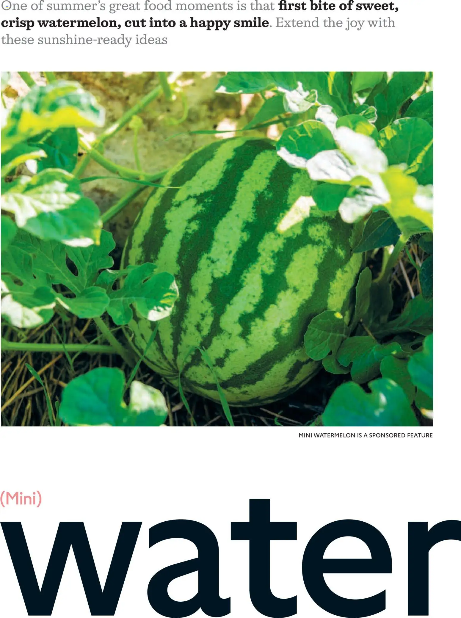 {H1} | Page: 58 | Products: Water, Watermelon