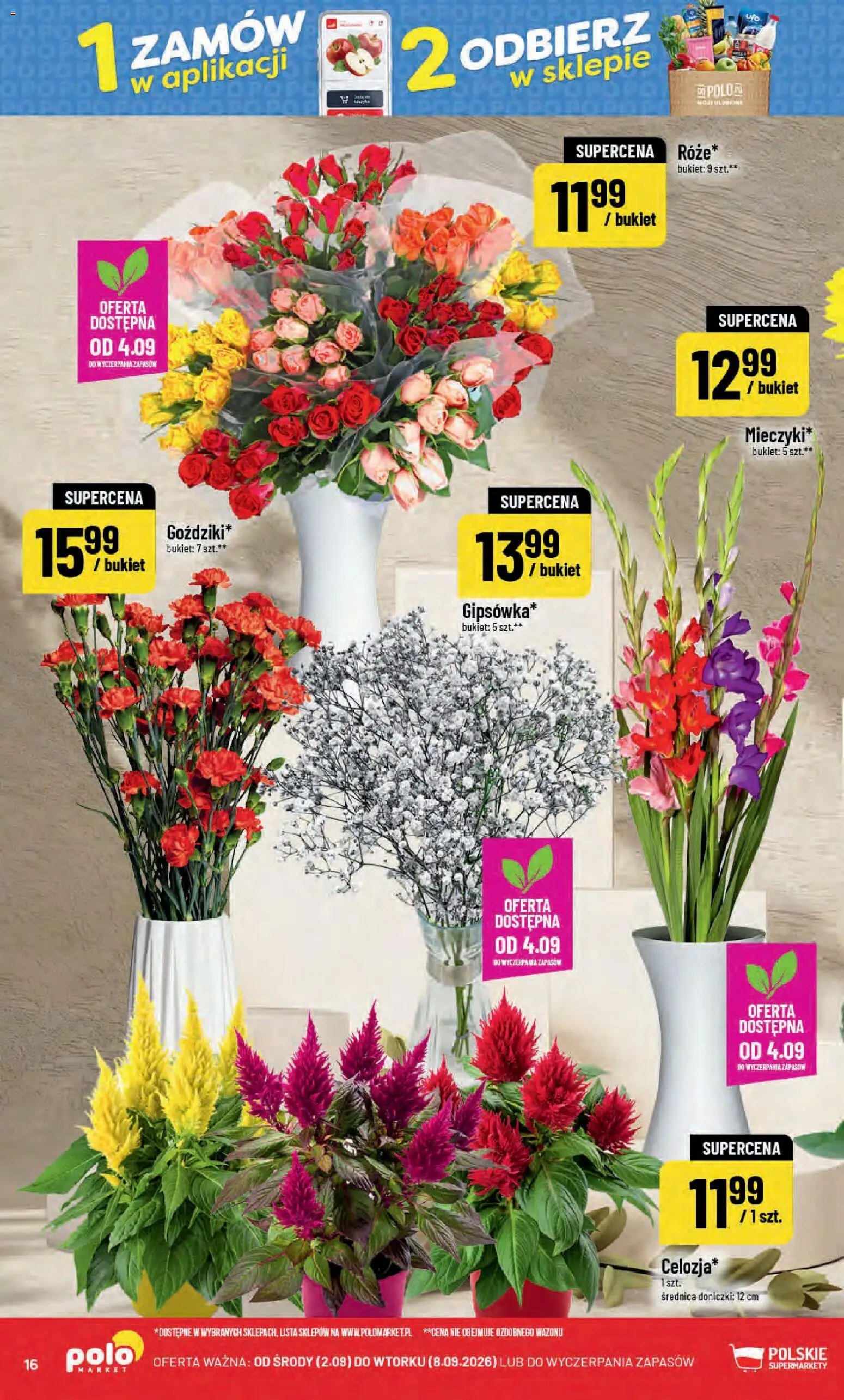 POLOmarket gazetka od 02.09.2026 | Strona: 16 | Produkty: Doniczki