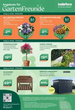 bellaflora Flugblatt ab 05.06.2026 gültig | Seite: 8