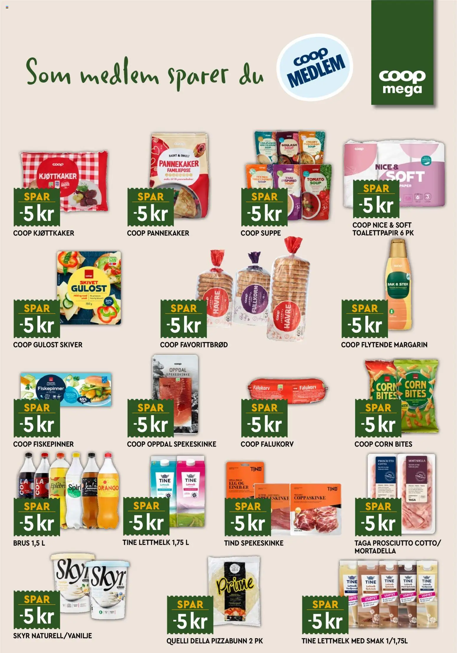 {H1} | Side: 13 | Produkter: Pizzabunn, Lettmelk, Fiskepinner, Mortadella