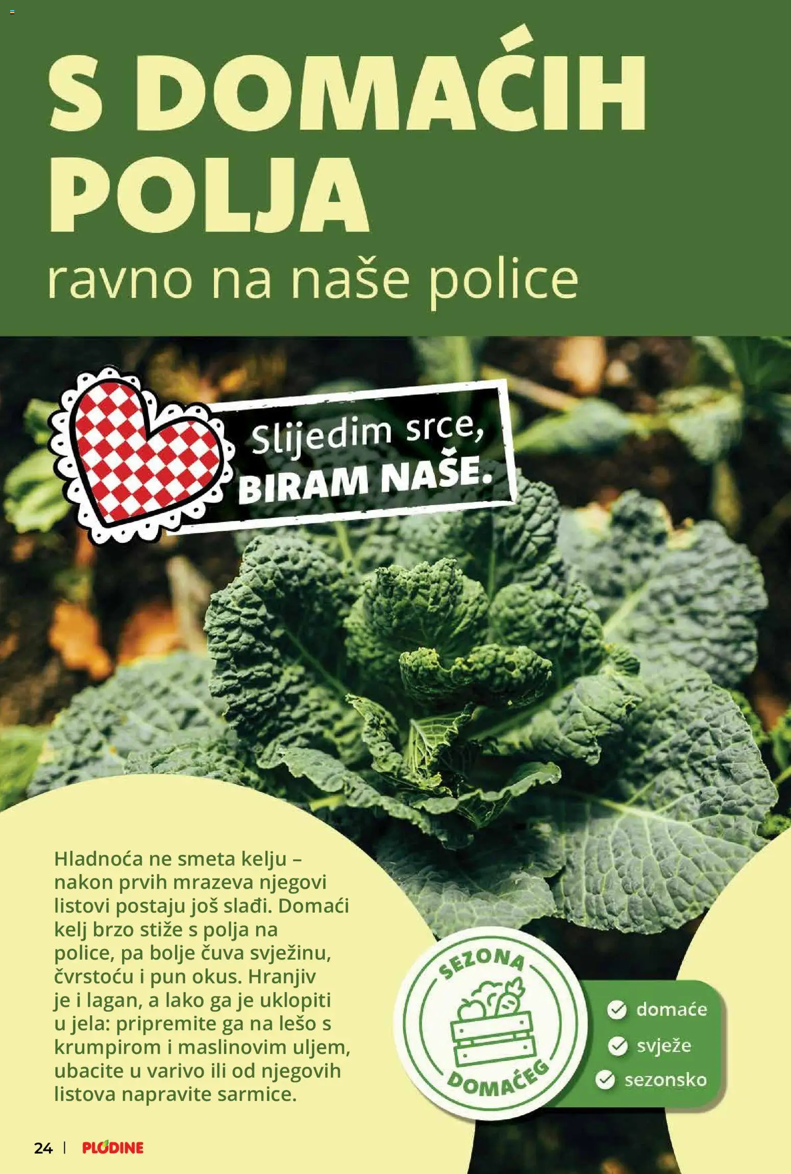 Plodine katalog | vrijedi od 21.10.2026 | Stranica: 24