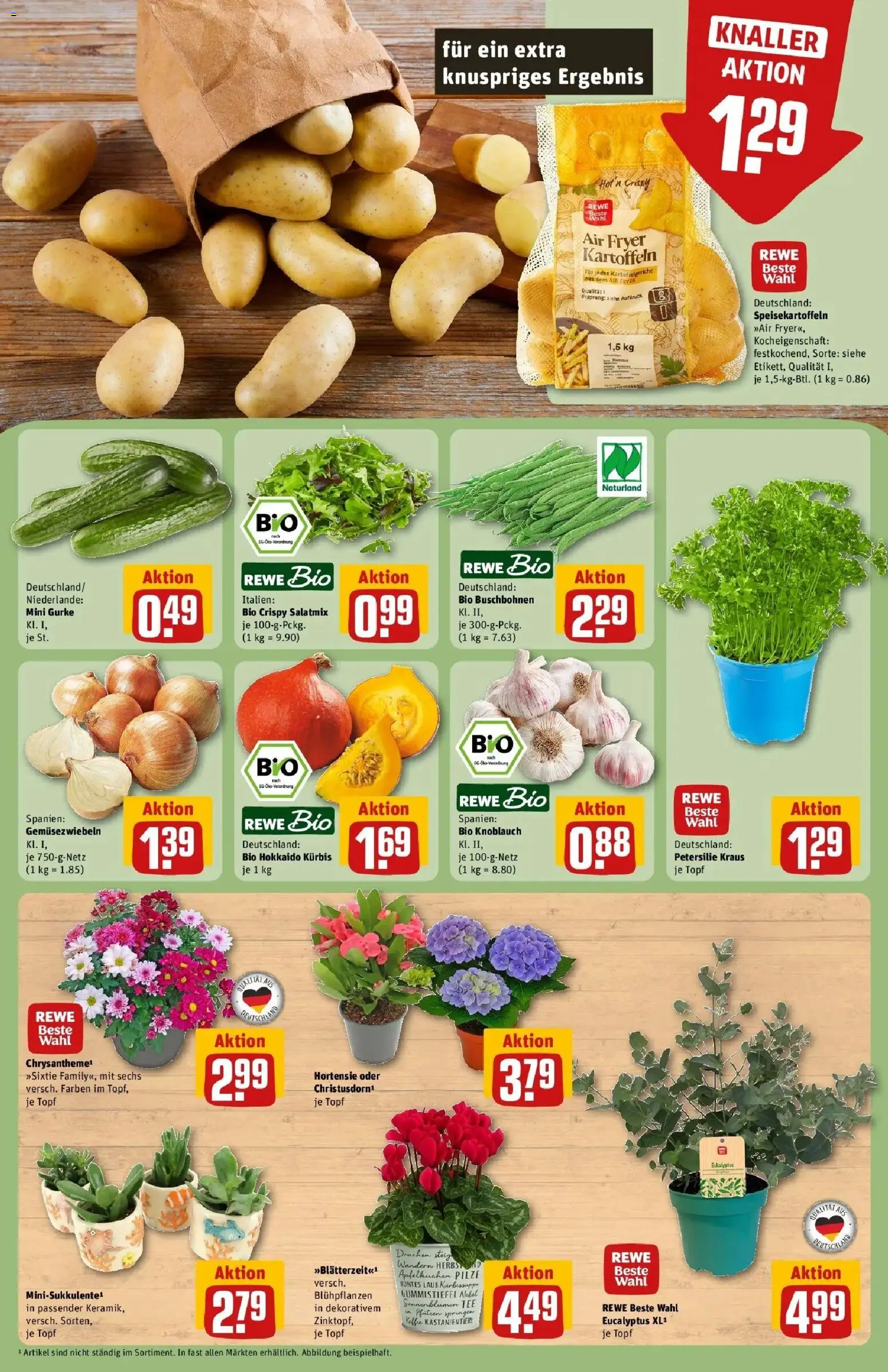 REWE Prospekt ab 24.08.2026 zum Blättern » Angebote | Seite: 7