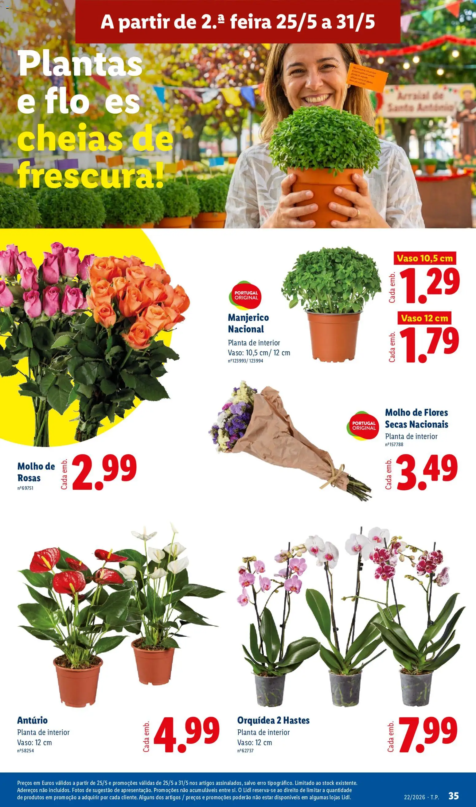 Lidl folheto │ válido de 25.05.2026 | Página: 35 | Produtos: Flores, Vaso
