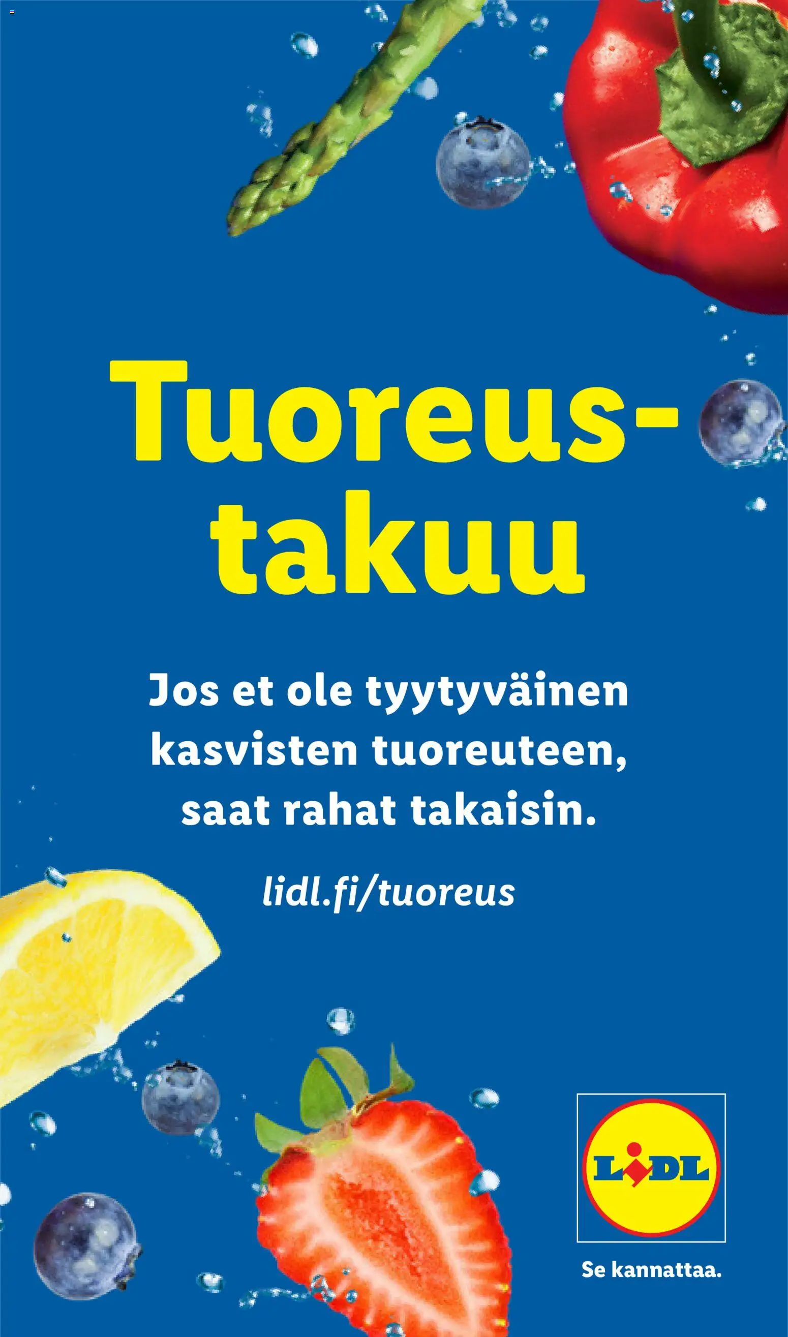 Lidl tarjoukset – voimassa 09/07/2026 alkaen | Sivu: 12