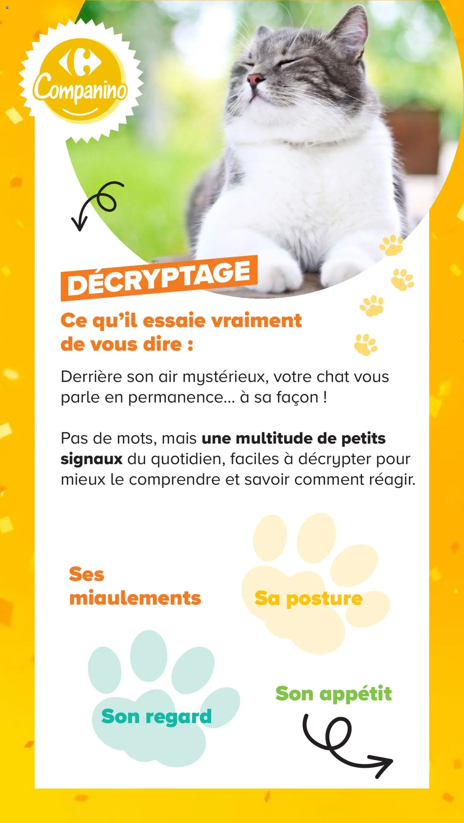 {H1} | Page: 12 | Produits: Mais