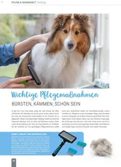 zookauf Themenkatalog Hund ab 18.05.2026 gültig | Seite: 66 | Produkte: Bürste