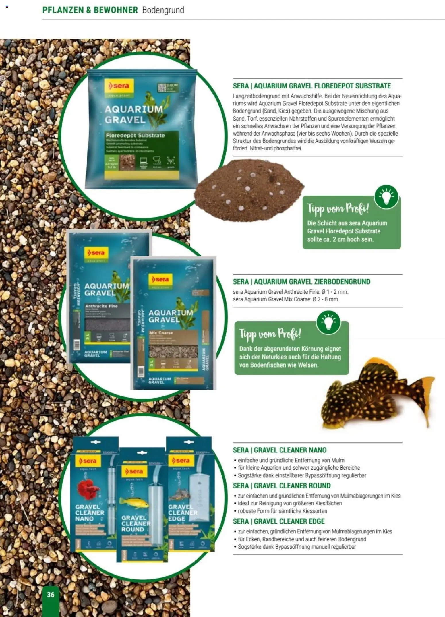 zookauf Themenkatalog Aqua – gültig ab 01.10.2026 | Seite: 36