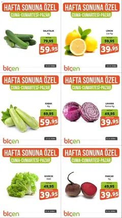 23 Ekim 2026 tarihinden itibaren geçerli olan Biçen Market kataloğu önizlemesi