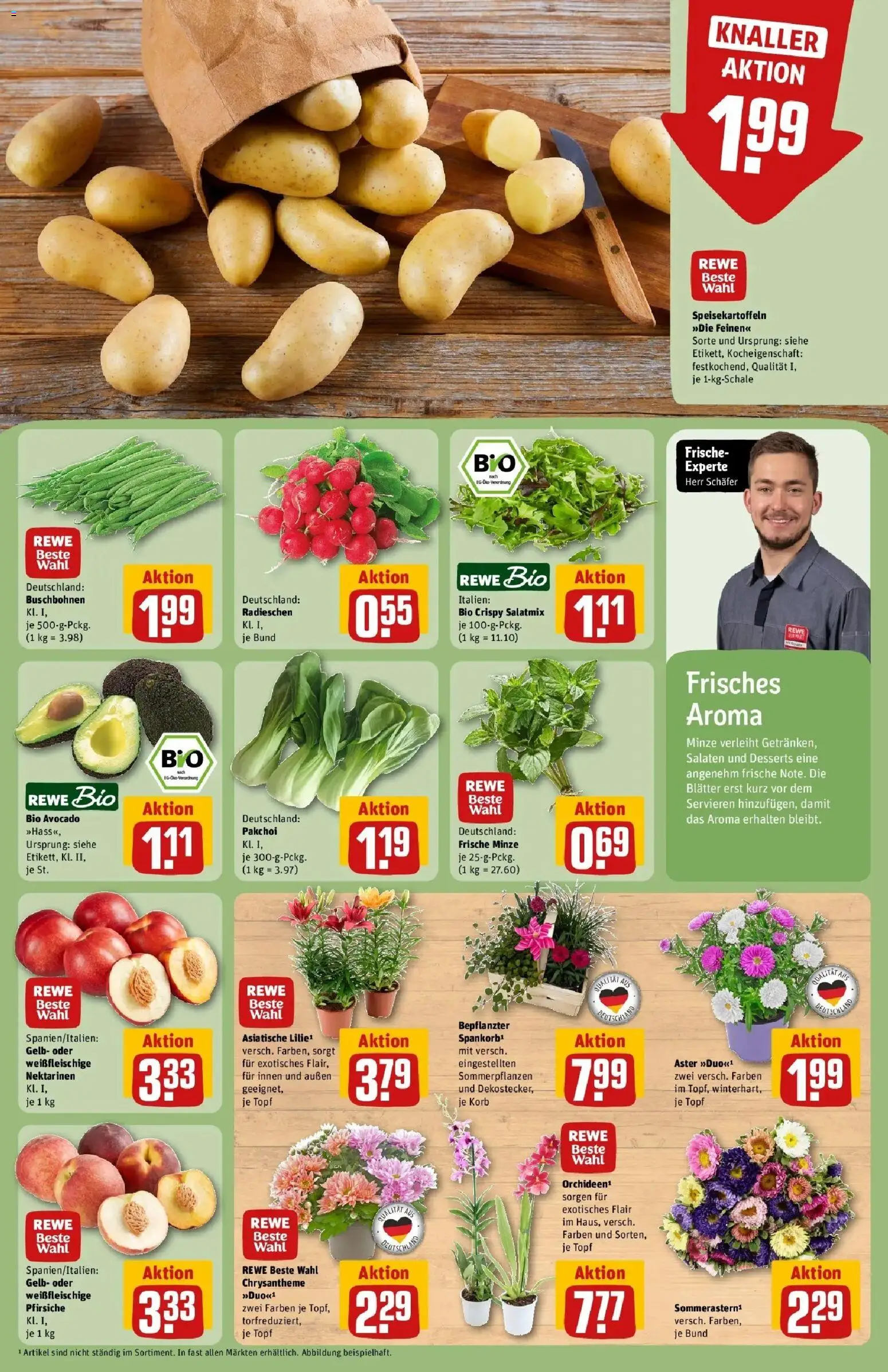 REWE Prospekt ab 03.08.2026 zum Blättern » Angebote | Seite: 7 | Produkte: Nektarinen, Korb, Avocado