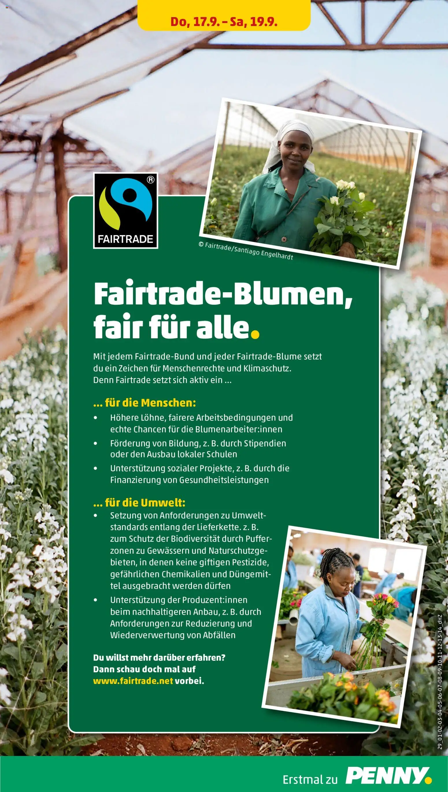 Penny Prospekt – gültig ab 14.09.2026 | Seite: 31
