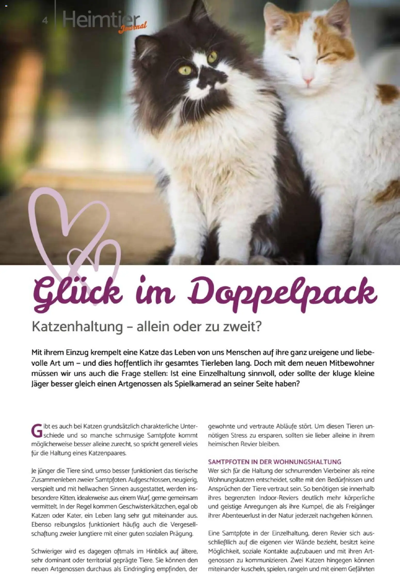 zookauf Heimtier Journal – gültig ab 01.07.2026 | Seite: 4