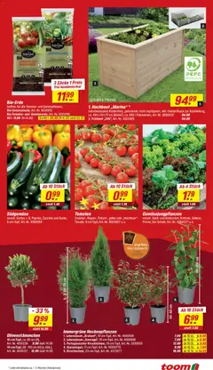 Toom Baumarkt Prospekt 	 ab 09.05.2026 gültig | Seite: 5 | Produkte: Hochbeet, Tomaten, Gemüse, Salat