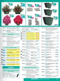 Maximo - Prévisualisation de Maximo catalogue epicerie valide à partir de 24/08/2026 | Page: 89 | Produits: Fleurs artificielles, Copeaux de bois, Décoration, Cerise