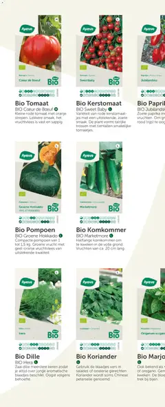 Aveve Groente- en kruidengids - Voorbeeld van een folder van Aveve, geldig van 23.02.2026 | Pagina: 44 | Producten: Salades, Kész piskótalap, Koriander, Pompoen