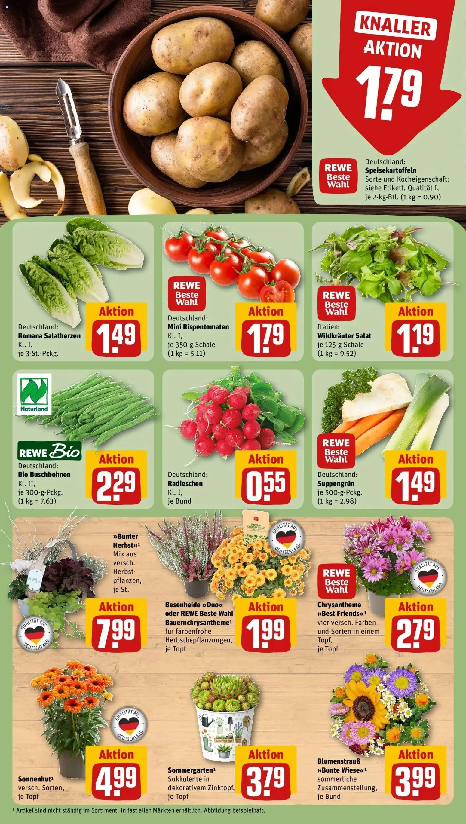 REWE Prospekt ab 07.09.2026 zum Blättern » Angebote | Seite: 9 | Produkte: Salat