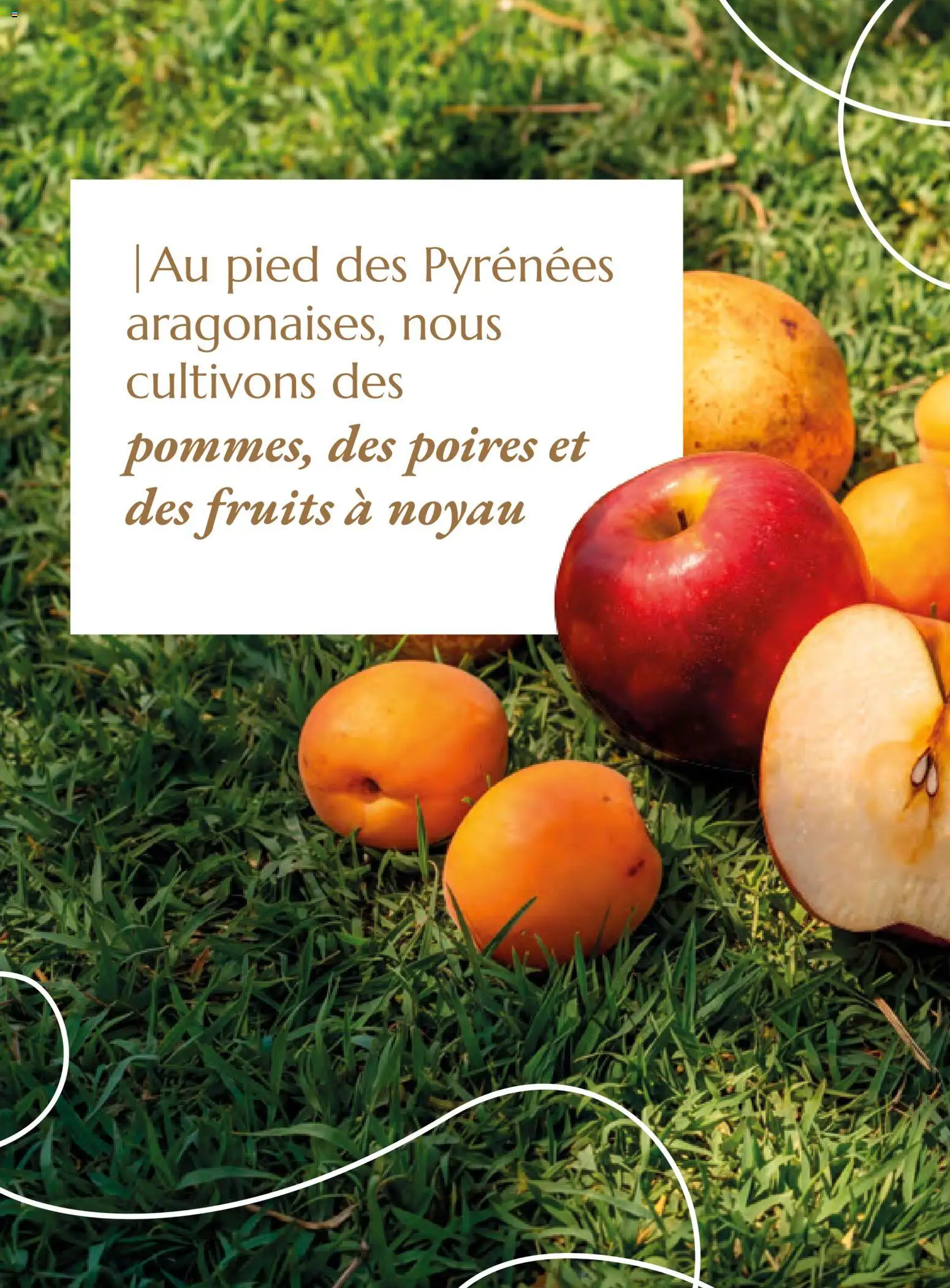 {H1} | Page: 130 | Produits: Fruits, Poires