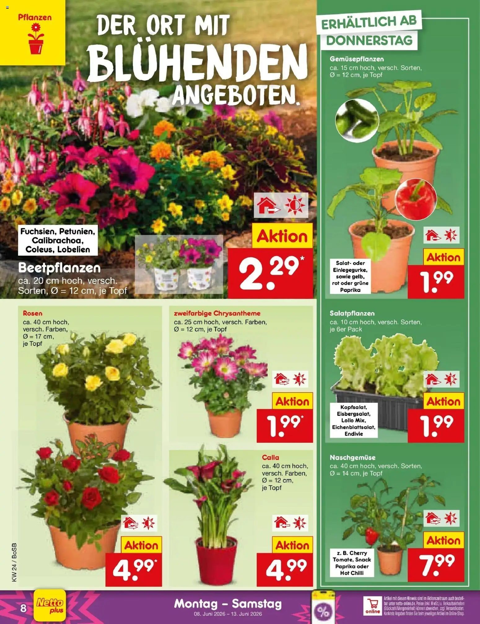 Netto Marken-Discount Prospekt Stadtlohn – gültig ab 08.06.2026 | Seite: 12 | Produkte: Paprika, Salat