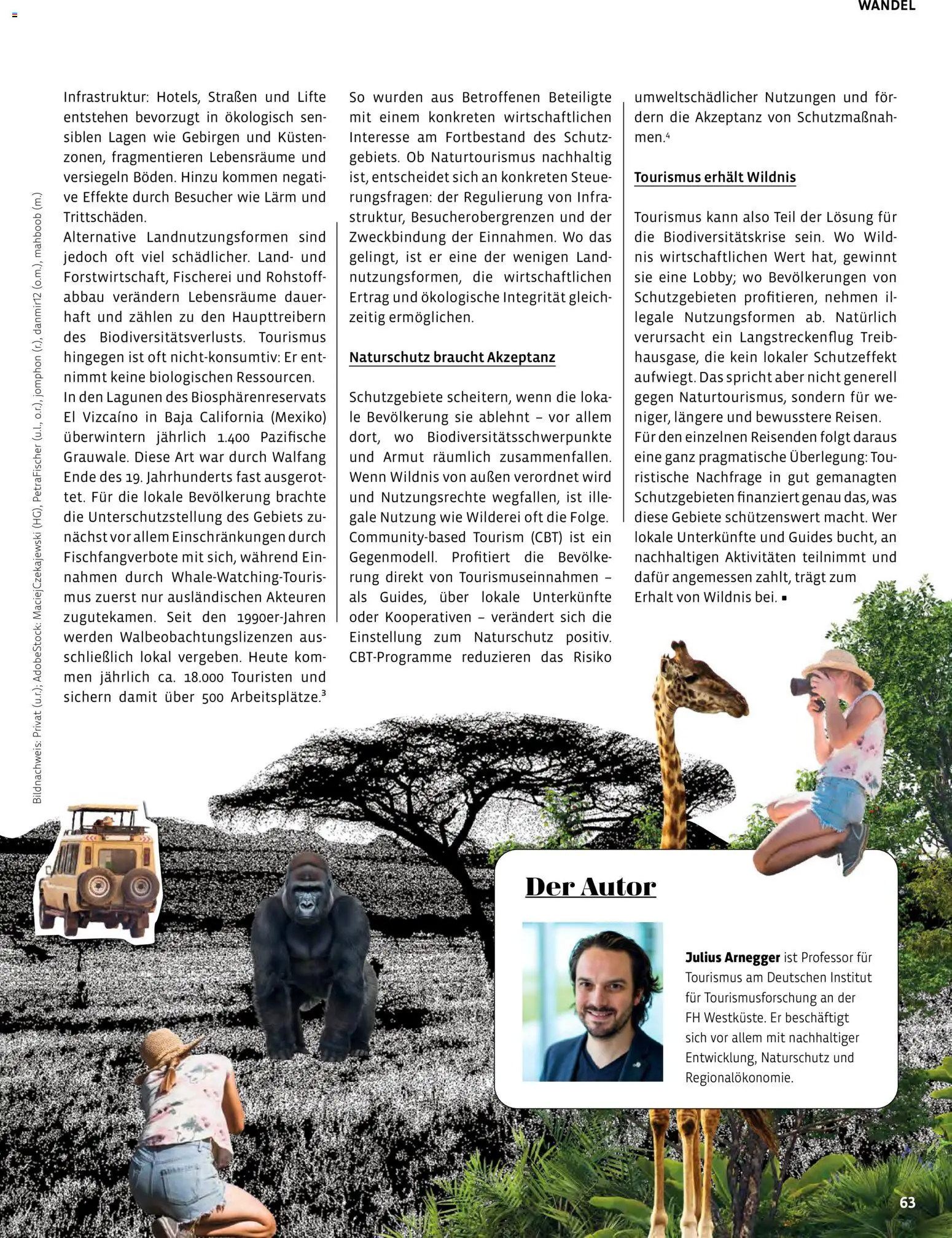 Denns BioMarkt Kreo Magazin – gültig ab 17.07.2026 | Seite: 63