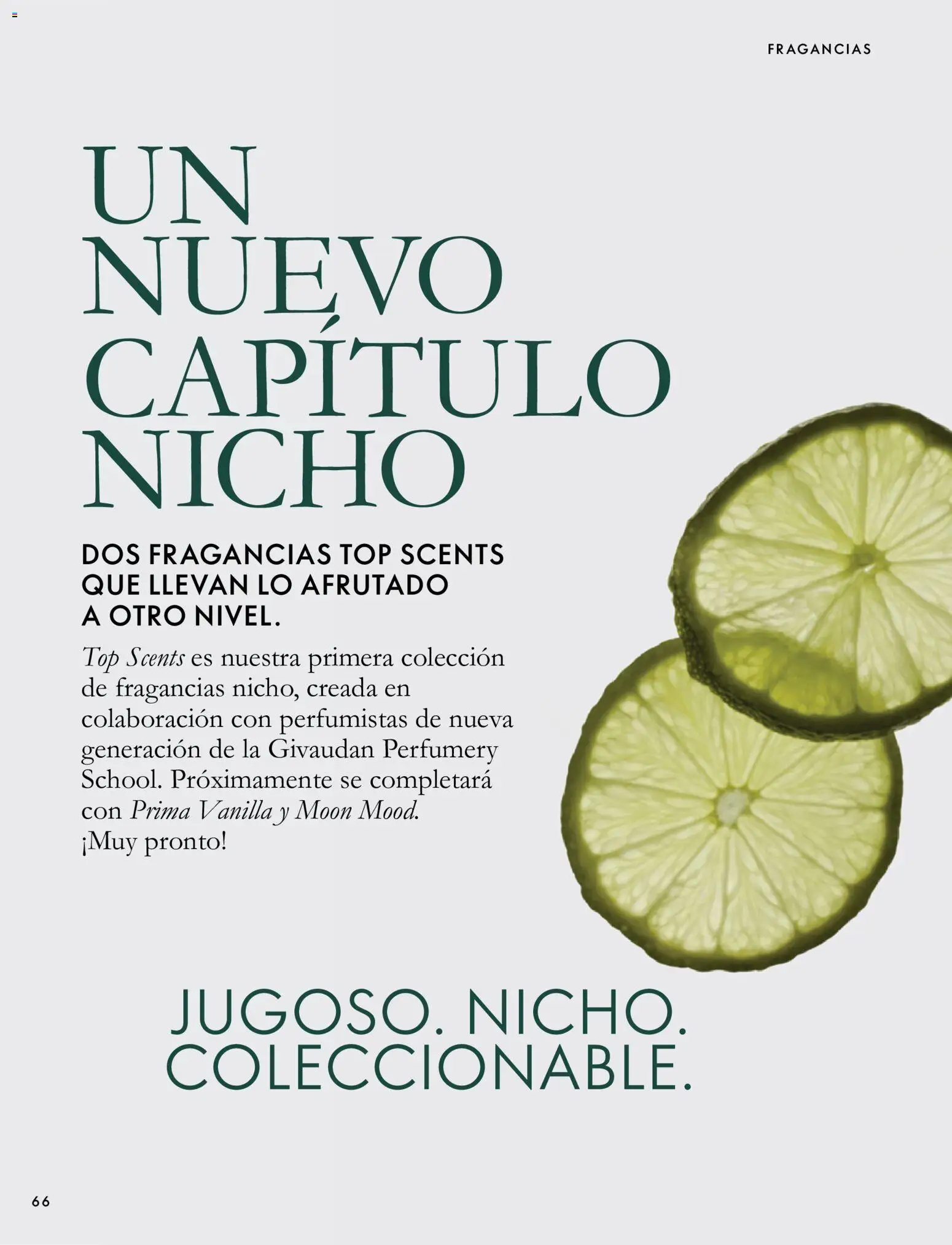 Oriflame - Catálogo Campaña 14 │ válido desde el 07/10/2026 | Página: 66