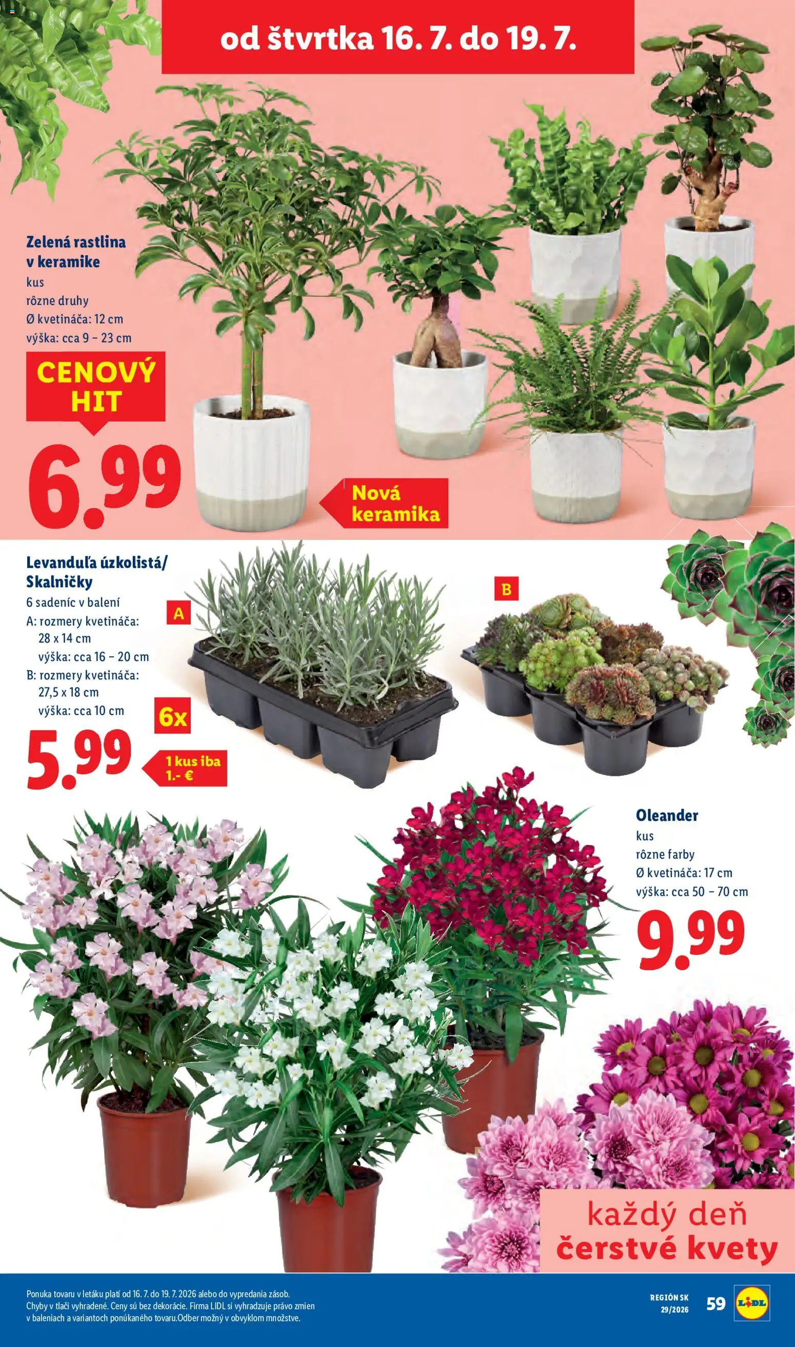 Nové Lidl akcie – leták je platný od 13.07.2026 | Strana: 72 | Produkty: Kvety