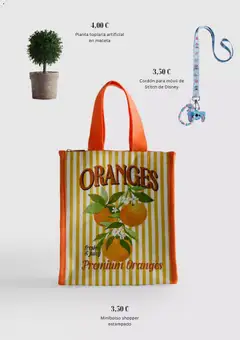 Vista previa Primark catálogo válido desde el 01.06.2026 | Página: 5 | Productos: Maceta