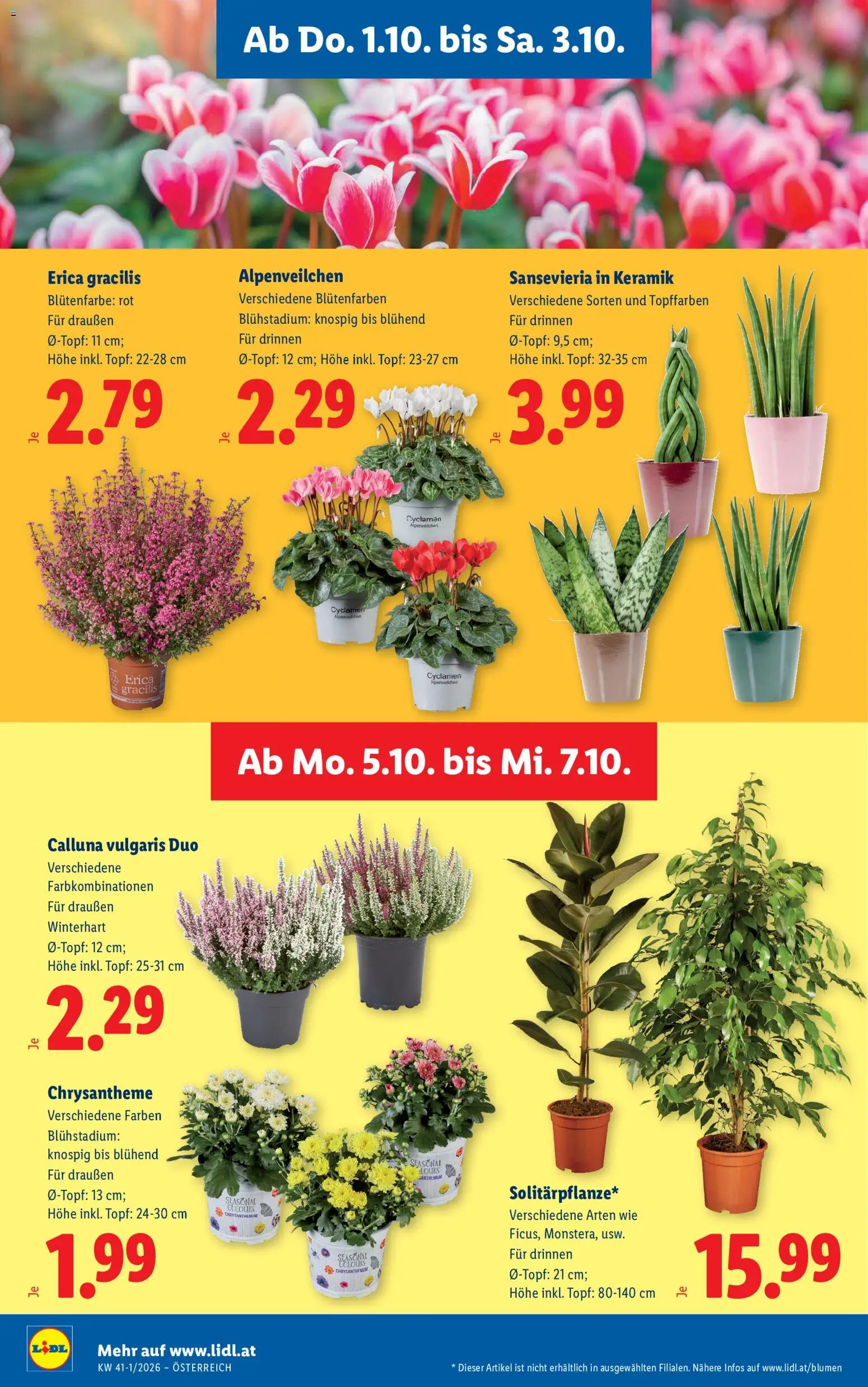 Lidl - Flugblatt gültig ab 01.10.2026 | Seite: 30
