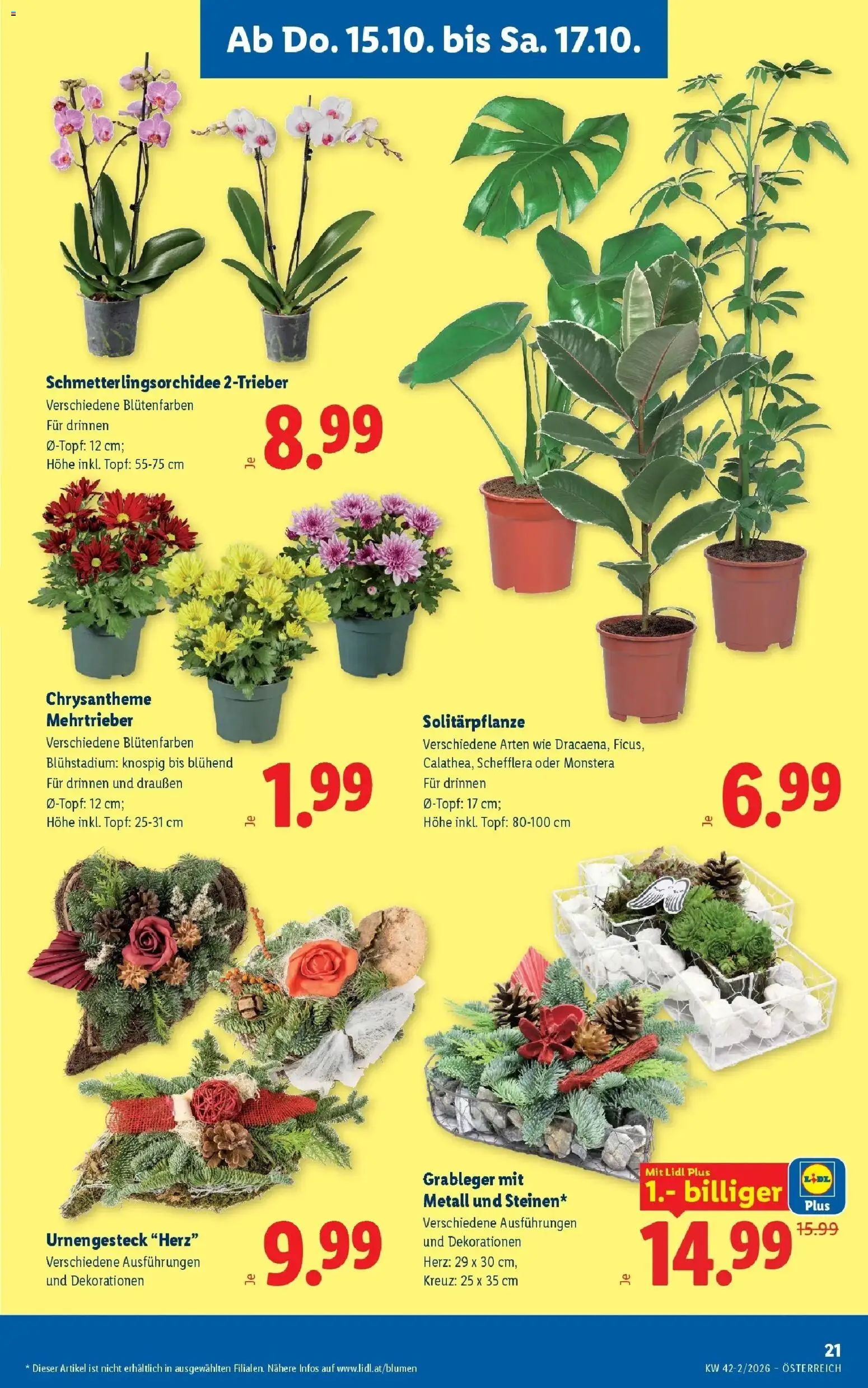 Lidl Flugblatt - Wien ab 11.10.2026 - Angebote ab donnerstag | Seite: 25