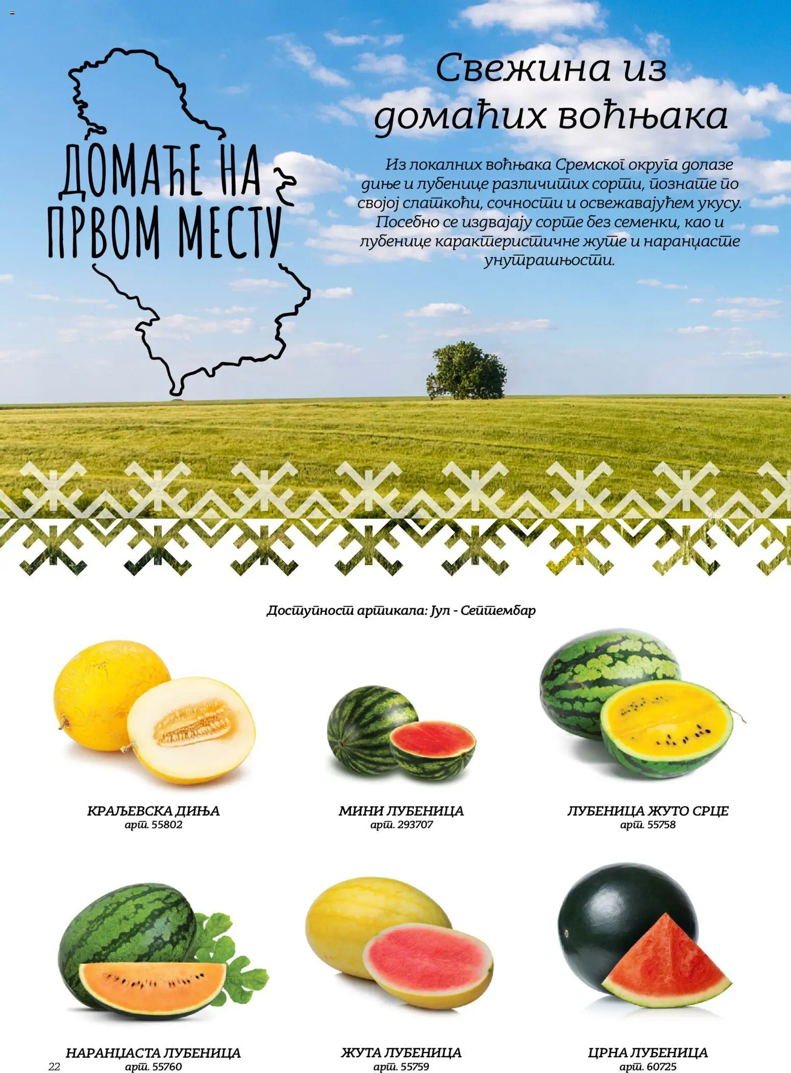 Metro katalog - važi od 02.10.2026 | Strana: 21