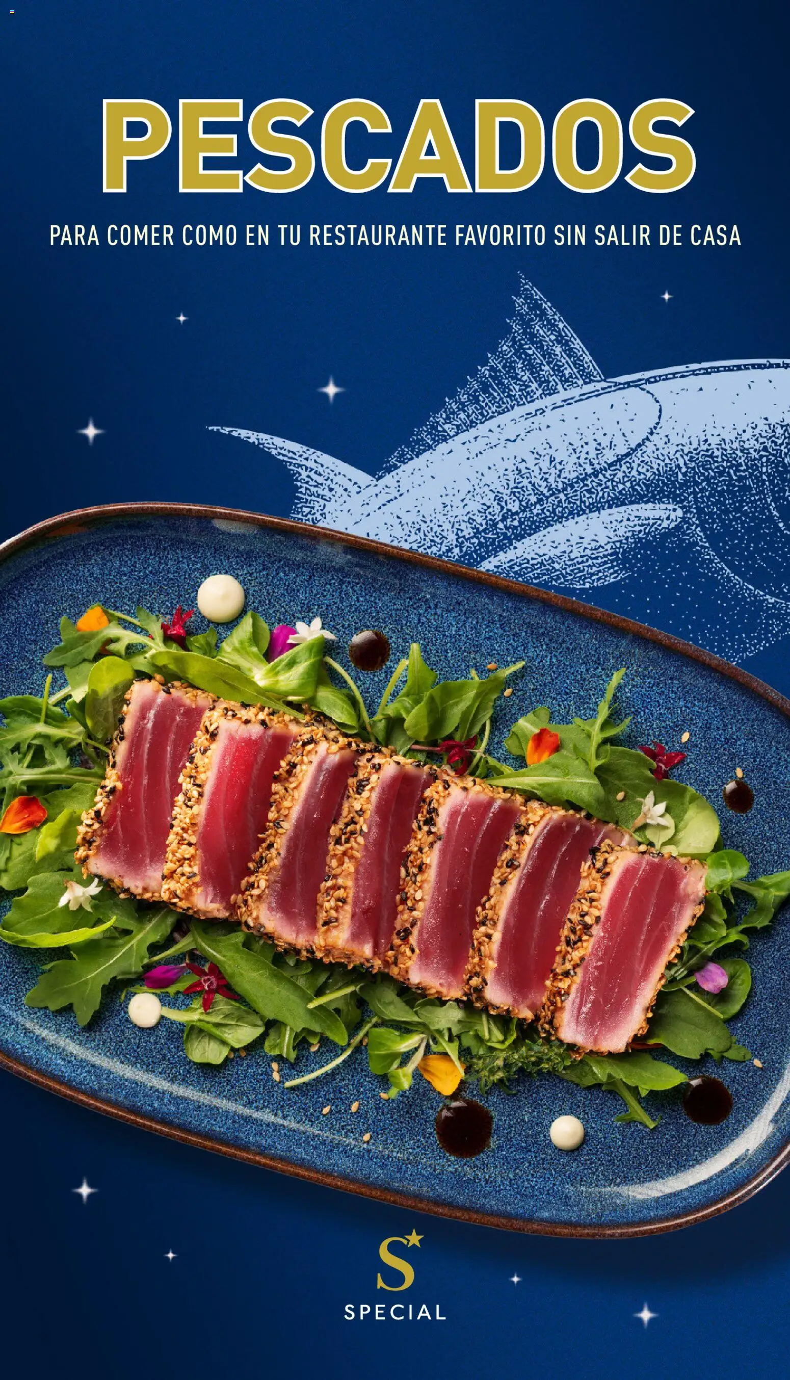 Aldi Catalogo Special Península │ válido desde el 05/10/2026 | Página: 36