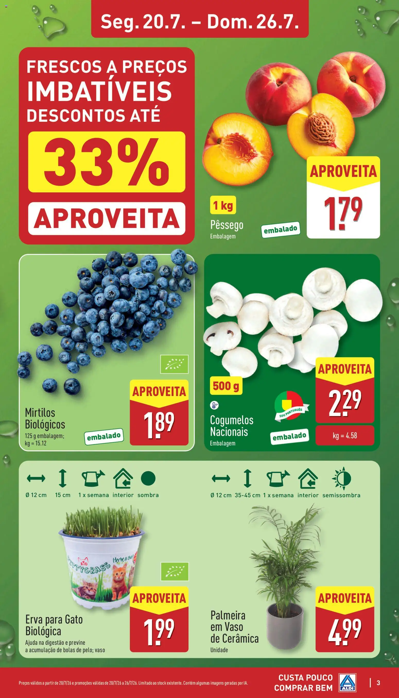 Aldi folheto │ válido de 20/07/2026 | Página: 3 | Produtos: Vaso, Cogumelos, Mirtilos