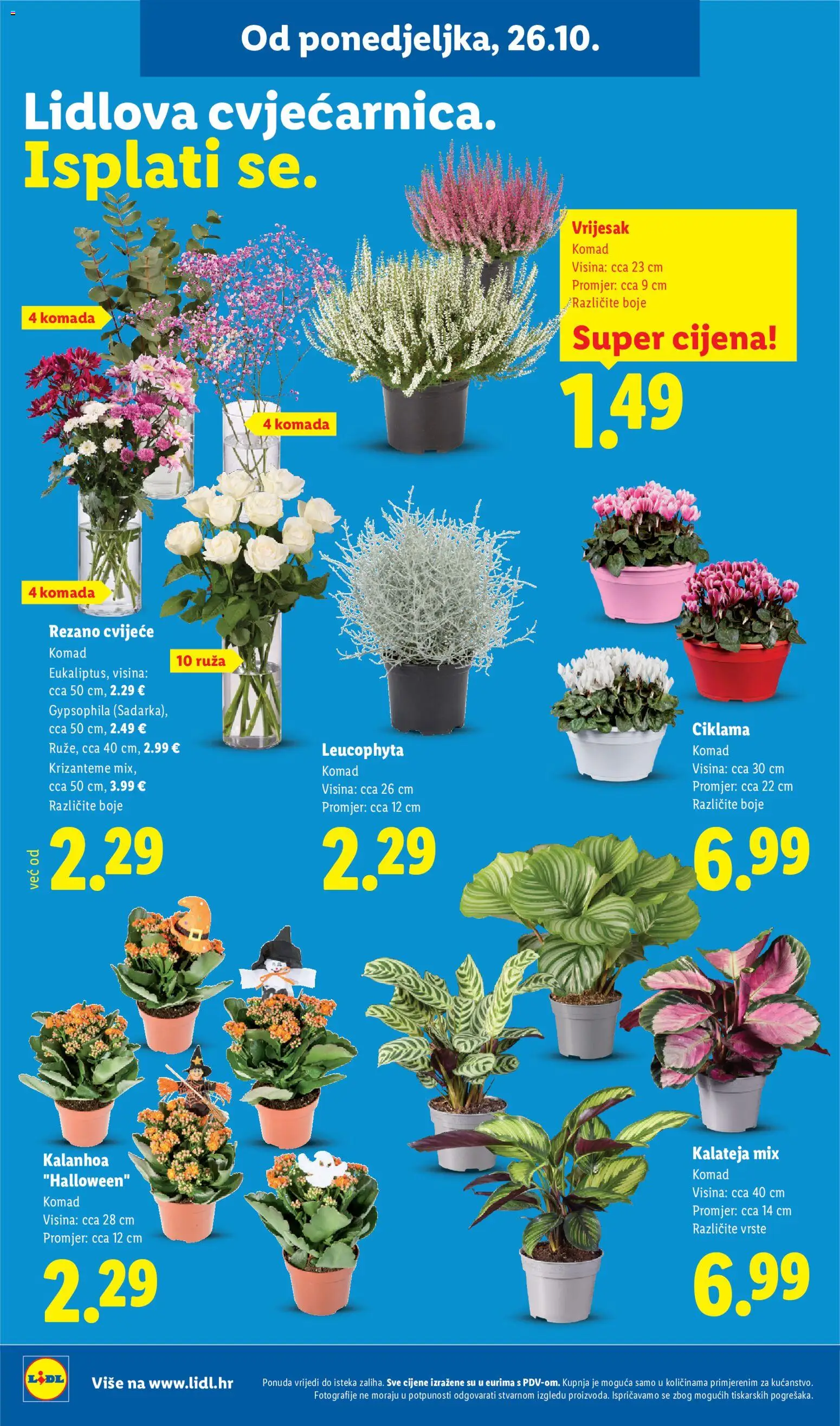 Lidl katalog | vrijedi od 26.10.2026 | Stranica: 62