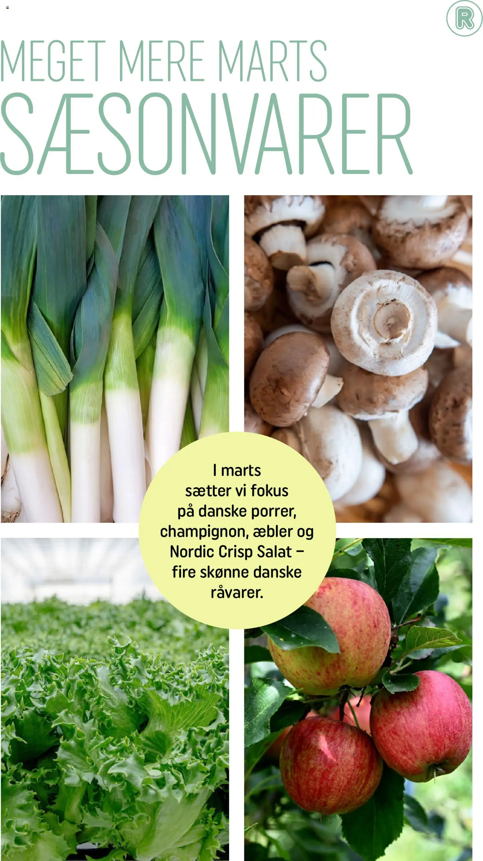 Rema 1000 tilbudsavis – gyldig fra 28/02/2026 | Side: 3 | Produkter: Champignon, Æbler, Salat, Porrer