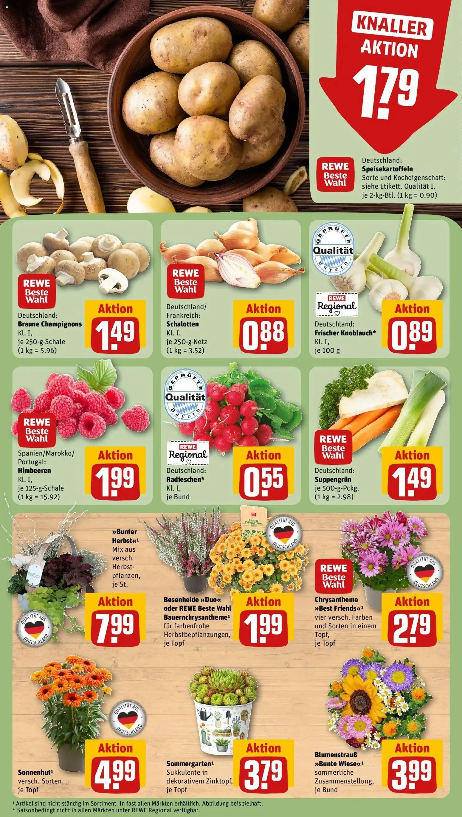 REWE Prospekt ab 07.09.2026 zum Blättern » Angebote | Seite: 7 | Produkte: Himbeeren, Champignons