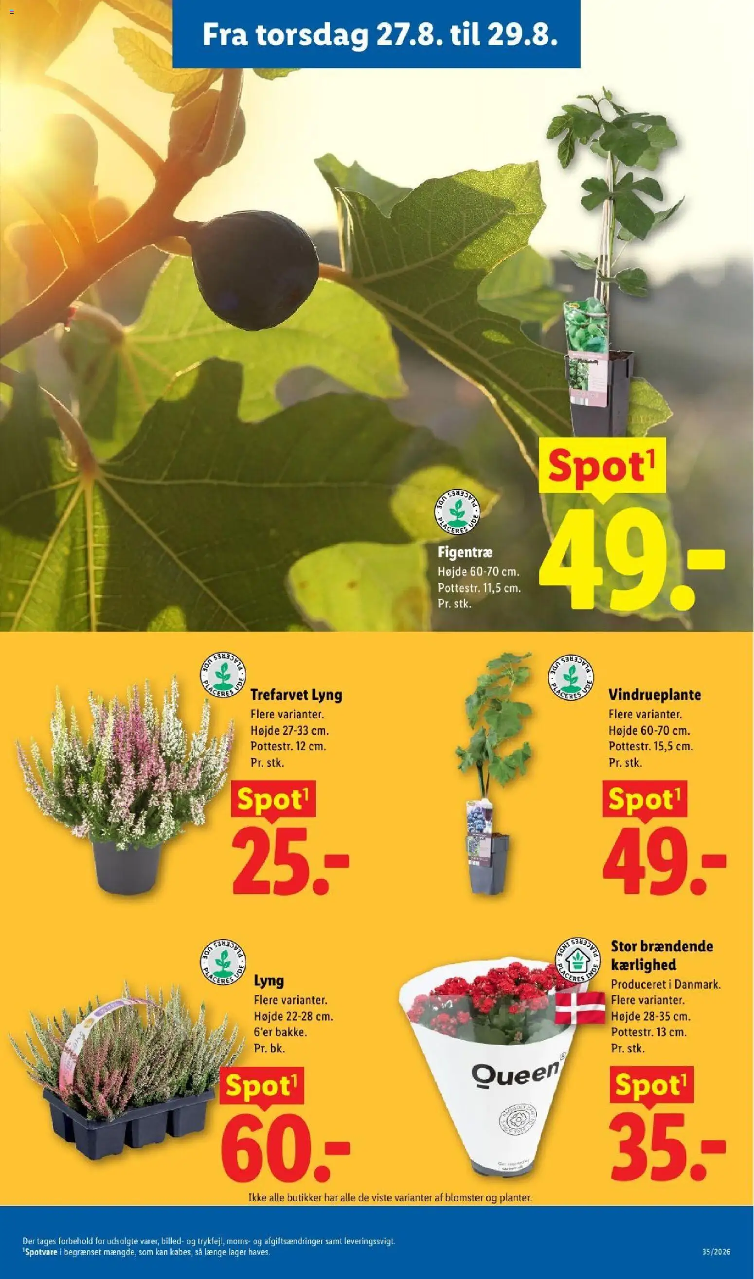 Lidl tilbudsavis – gyldig fra 23/08/2026 | Side: 37 | Produkter: Søm