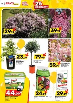Pogląd oferty "Brico Marché gazetka" - ważna od 20.05.2026 | Strona: 8