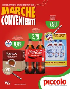 Anteprima del volantino Piccolo volantino valido a partire dal 26/10/2026