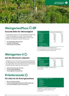 Lagerhaus Zwischenfrüchte und Begrünungen 2026 ab 26.03.2026 gültig | Seite: 13 | Produkte: Kraut, Petersilie, Wein