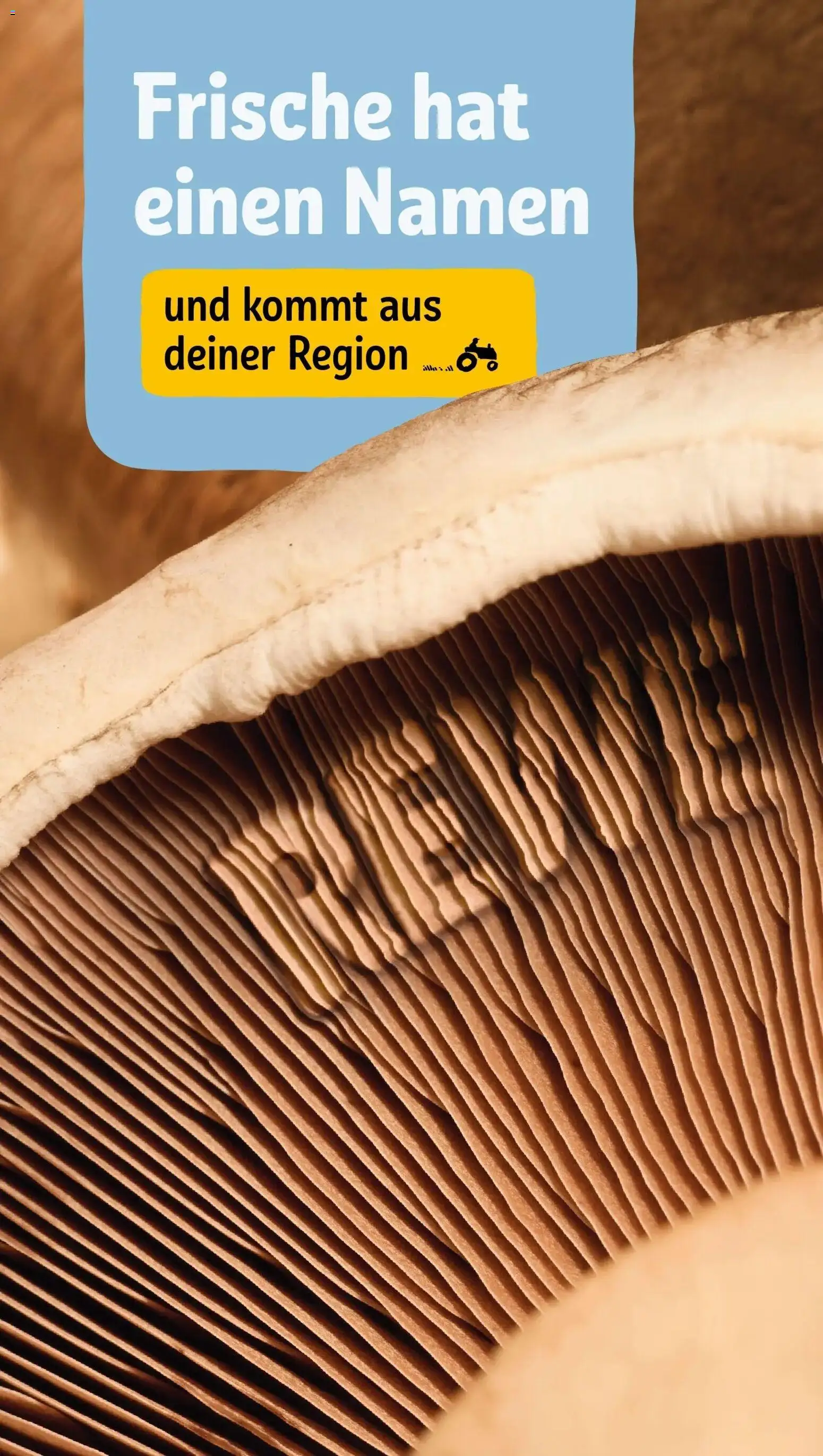 Rewe Prospekt München – gültig ab 27.07.2026 | Seite: 19