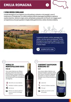 Anteprima del volantino Aldi Vinoteca catalogo valido a partire dal 12.01.2026 | Pagina: 22 | Prodotti: Spezie, Vino, Griglia, Vino rosso