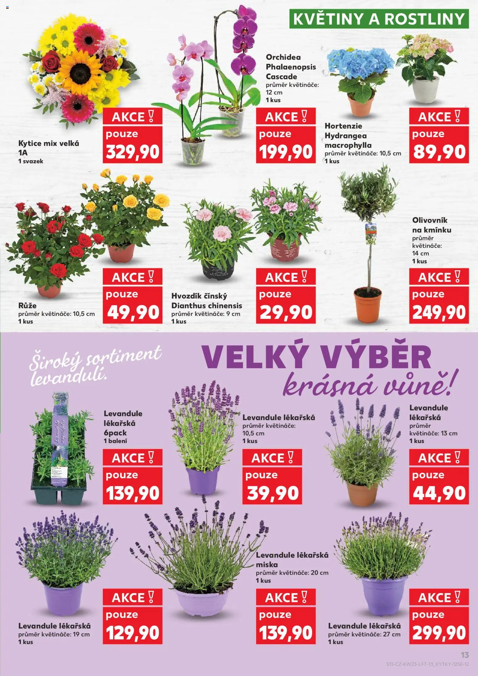 Kaufland leták od 03.06.2026 | Strana: 13 | Produkty: Květináče, Miska, Rostliny, Kytice