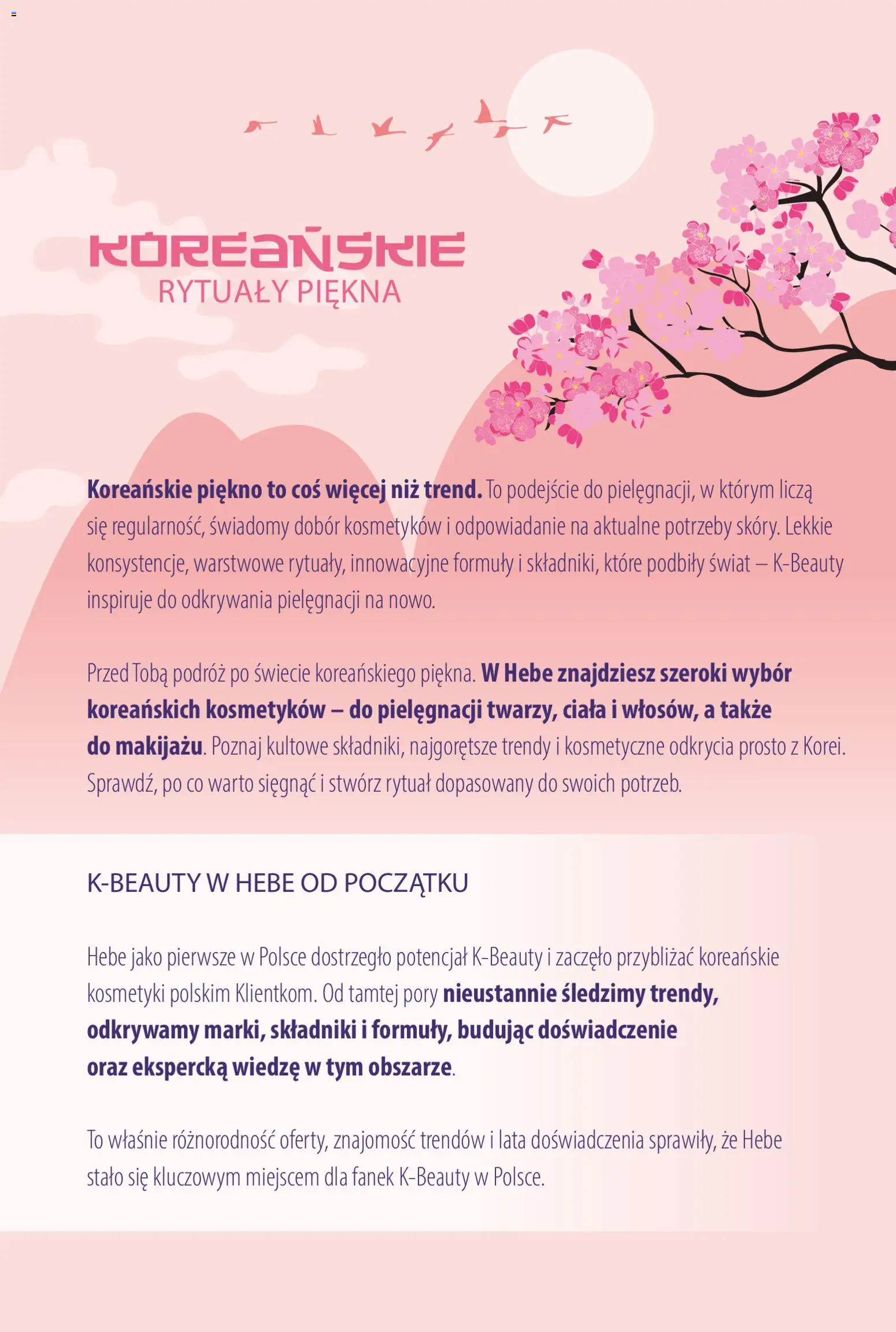 Hebe gazetka - Katalog koreanski od 01.10.2026 | Strona: 3