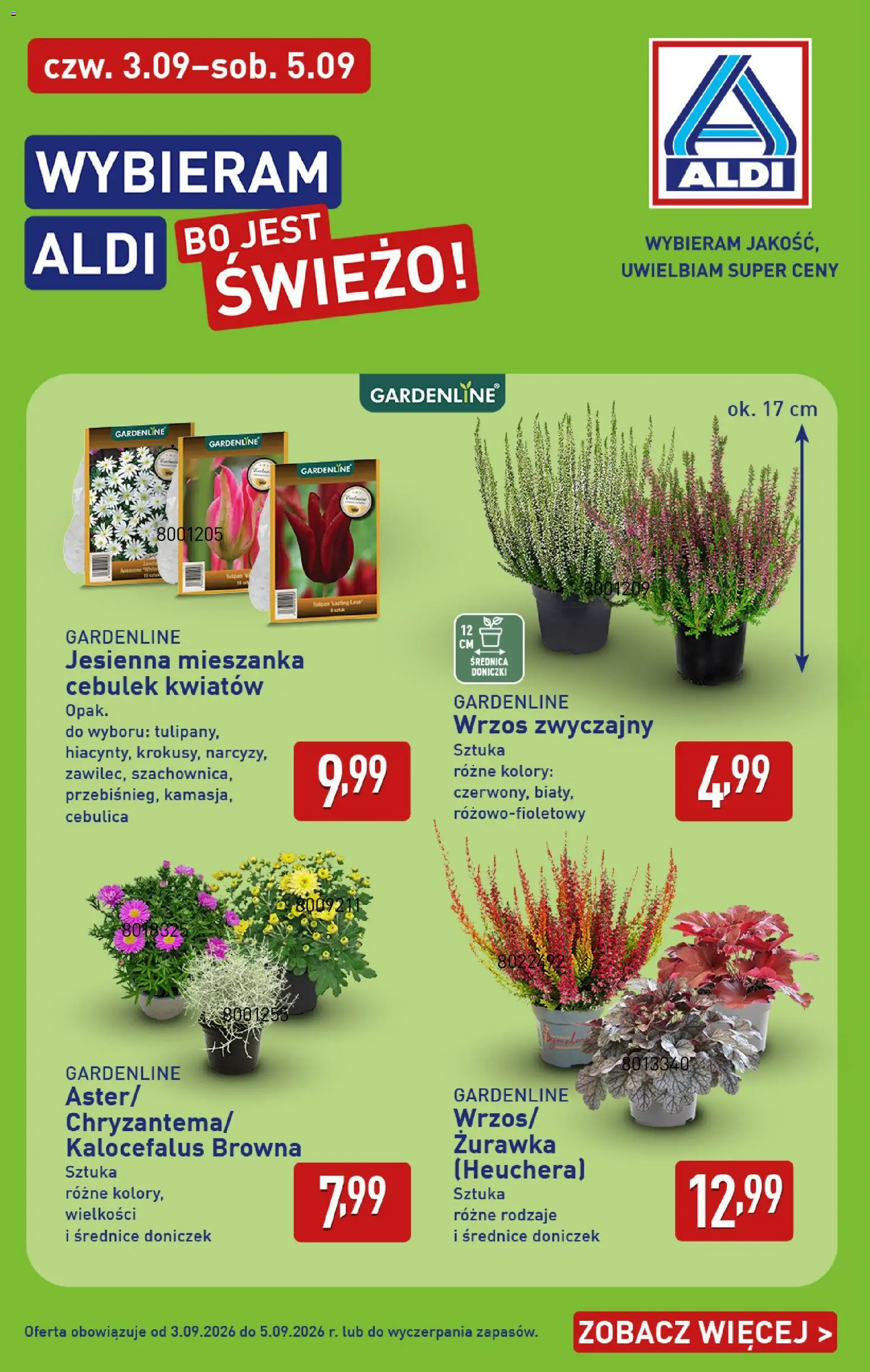 Aldi Polsko leták od 31.08.2026 | Strana: 38