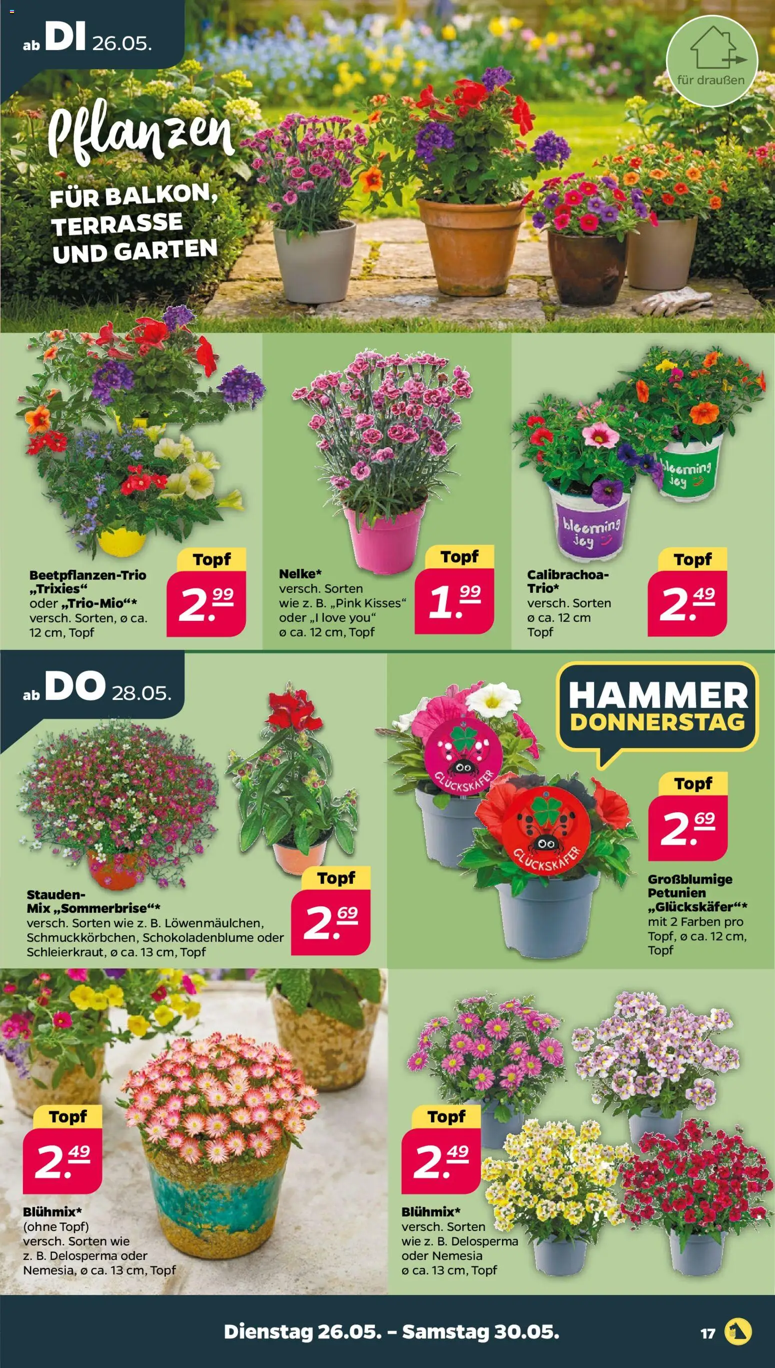Netto Prospekt 	 – gültig ab 26.05.2026 | Seite: 19