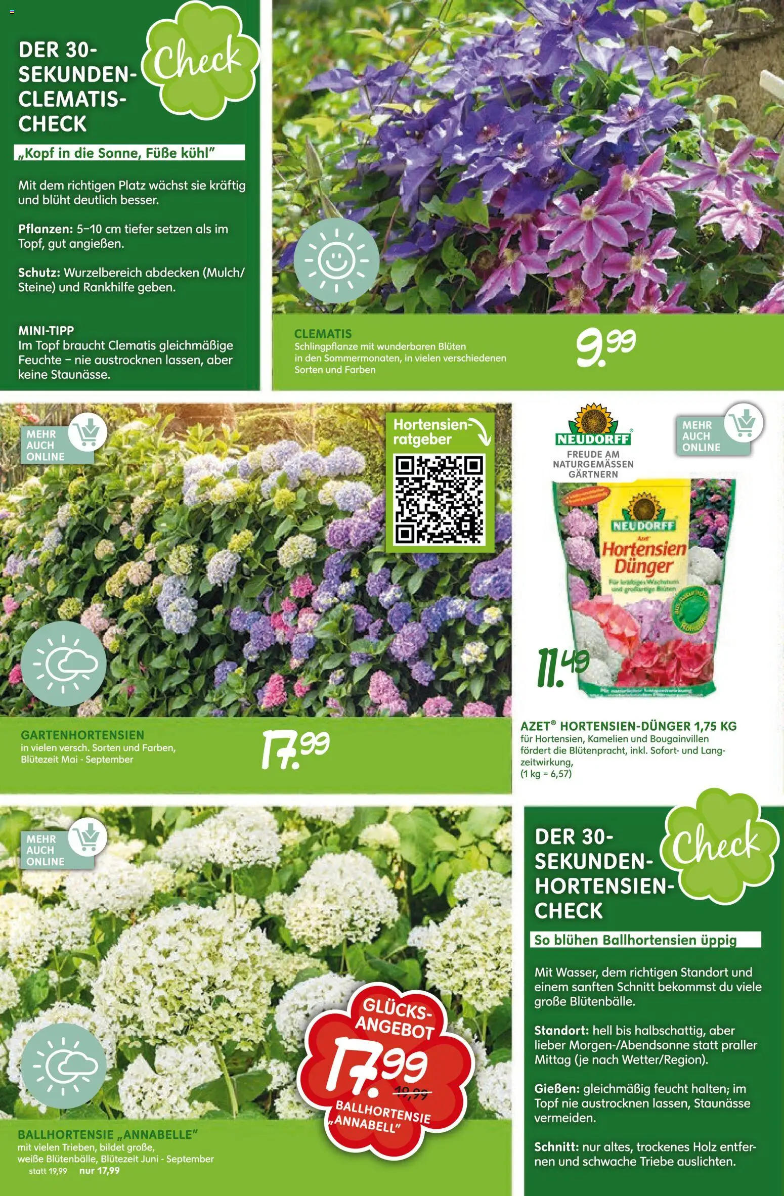 Blumen Risse Prospekt – gültig ab 28.05.2026 | Seite: 8