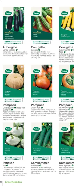 Aveve Groente- en kruidengids - Voorbeeld van een folder van Aveve, geldig van 23.02.2026 | Pagina: 34 | Producten: Nice, Antipasti, Komkommer, Courgette