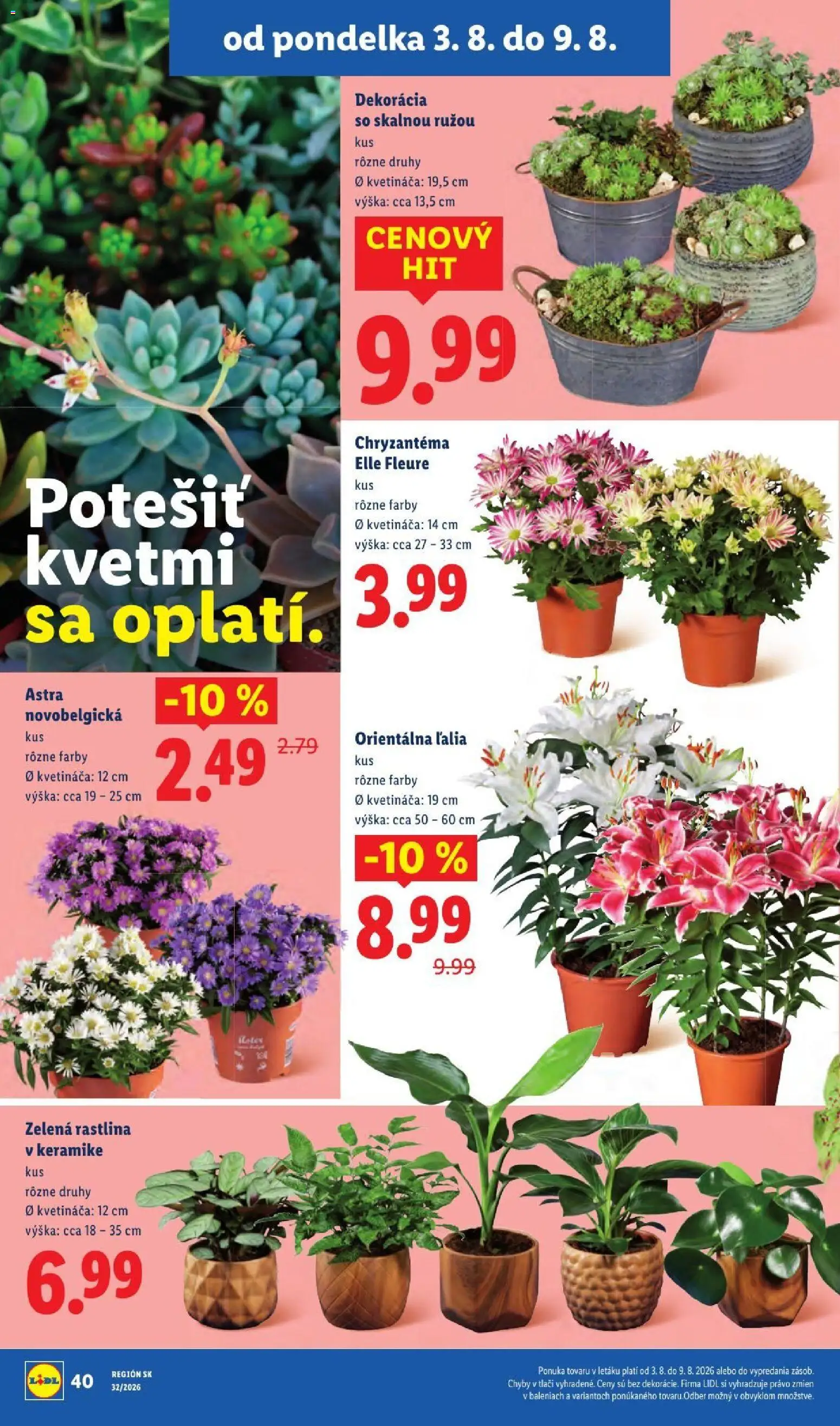 Nové Lidl akcie – leták je platný od 03.08.2026 | Strana: 62
