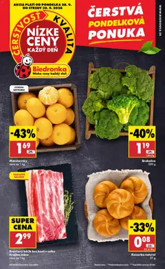 Biedronka leták platný od 28.09.2026