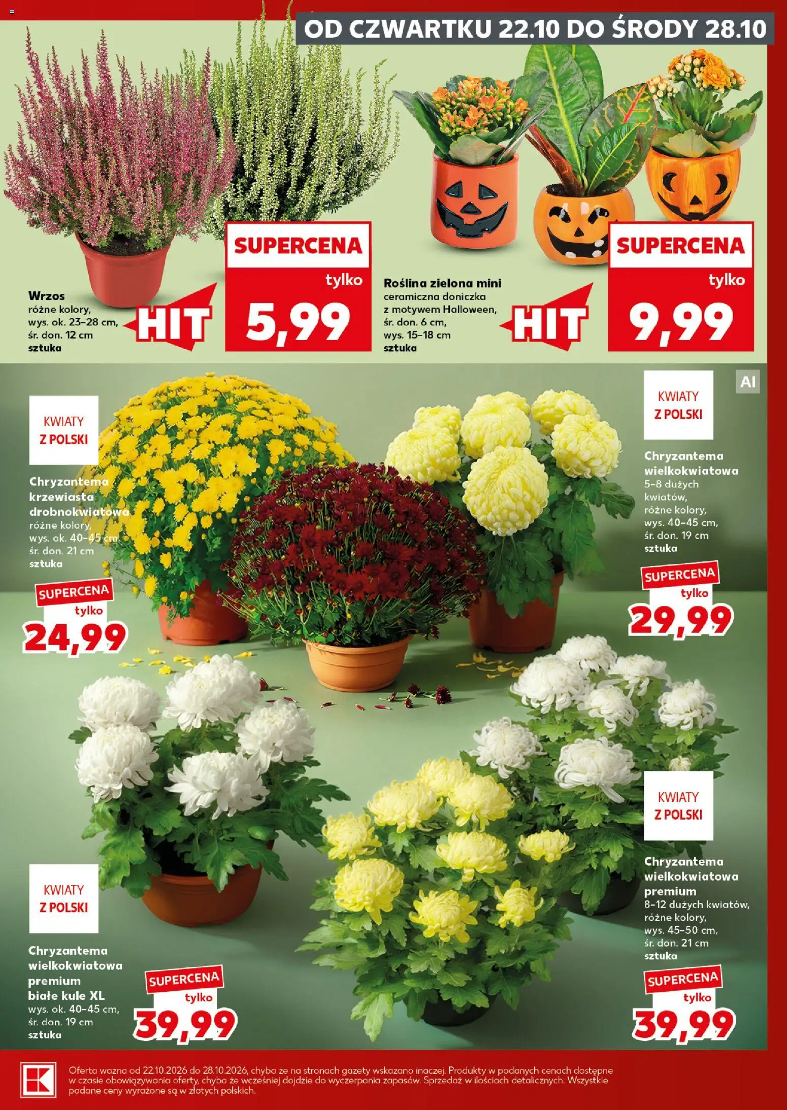 Kaufland Polsko leták - Mocny start od 26.10.2026 | Strana: 5