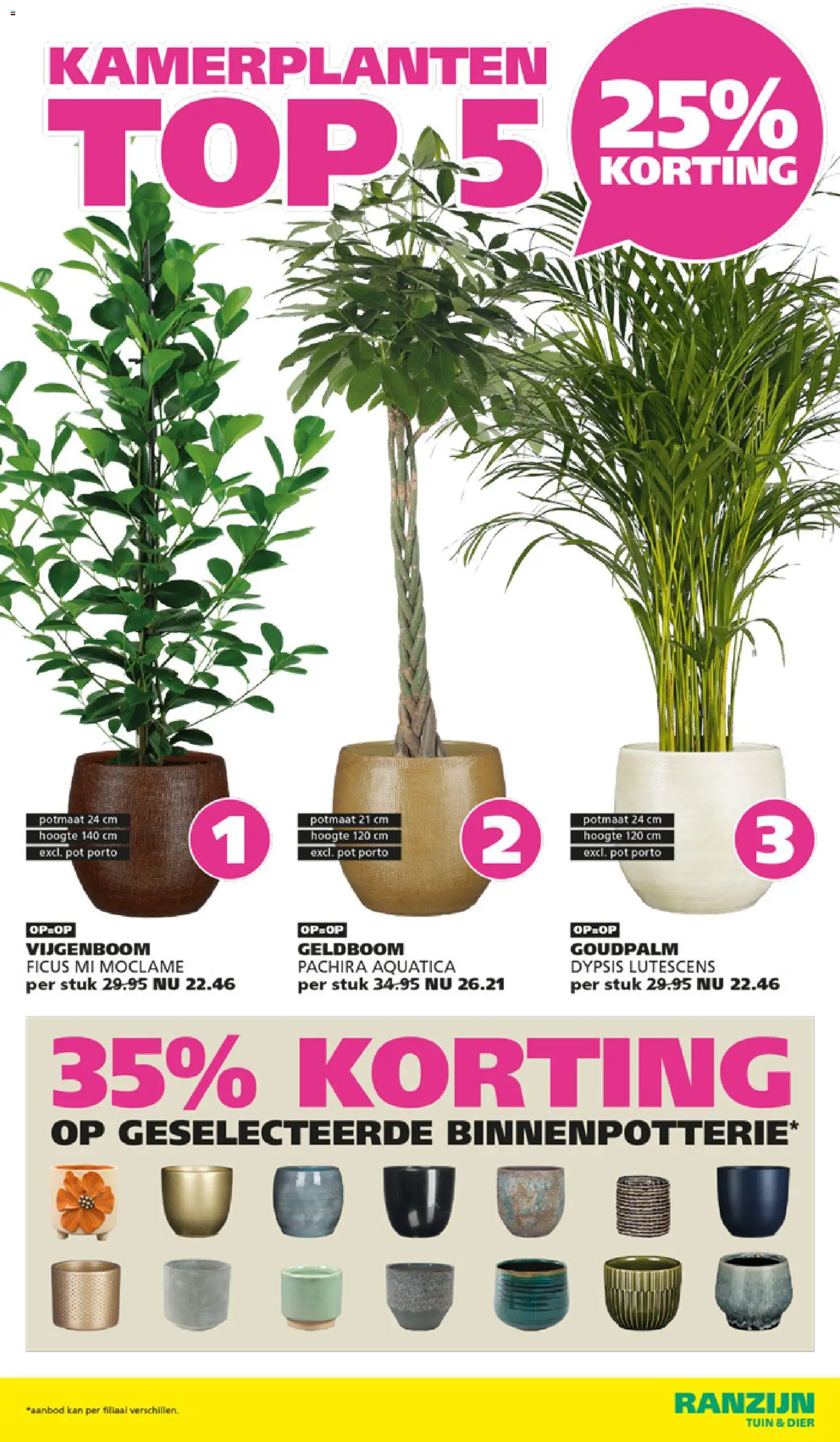 {H1} | Pagina: 2 | Producten: Pot, Kan, Kamerplanten
